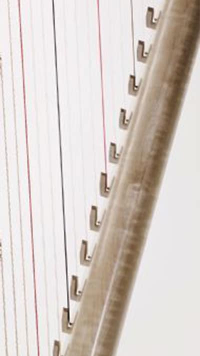 7 HARPE MÉDIÉVLA À HARPIONS2